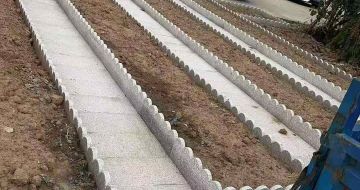 黑龙江芝麻白花边石