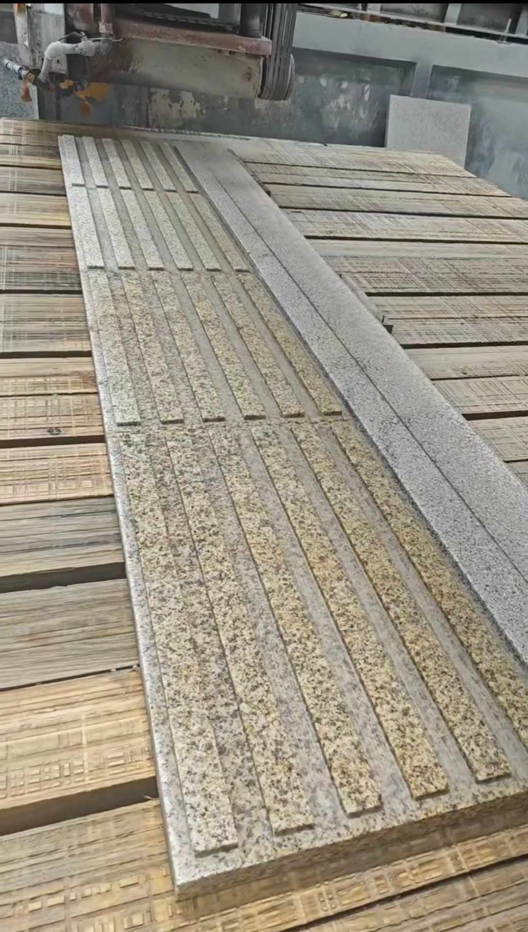 黑龙江黄金麻盲道石 盲条